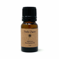 Eucalyptus Essential Oil – Certified Organic & Undiluted